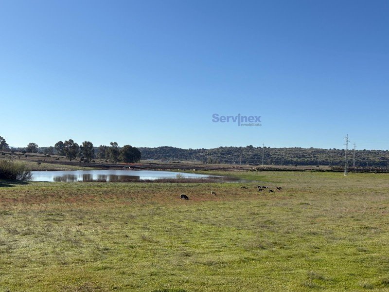 FINCA DE 8 HAS JUNTO AL POLIGONO “EXPACIO NAVALMORAL”