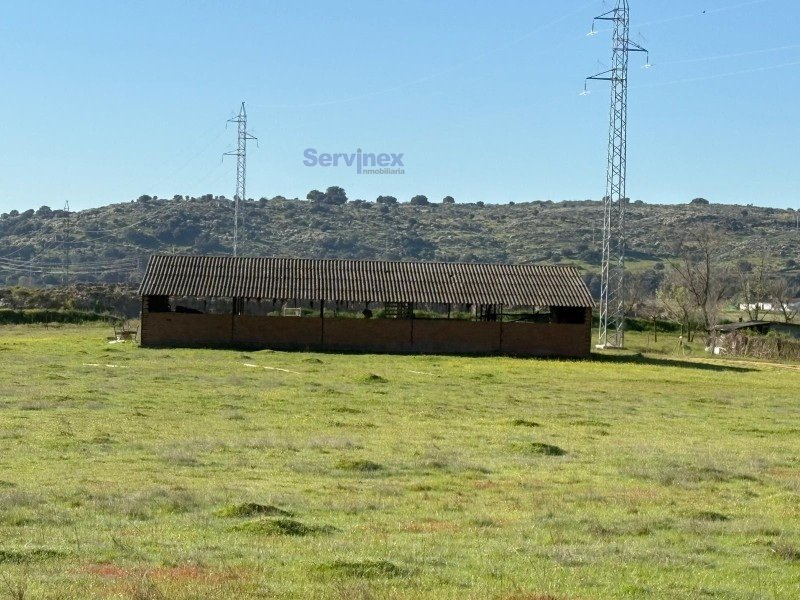 FINCA DE 8 HAS JUNTO AL POLIGONO “EXPACIO NAVALMORAL”