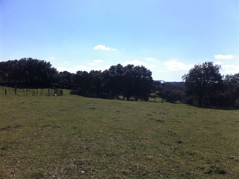 FINCA EN MILLANES