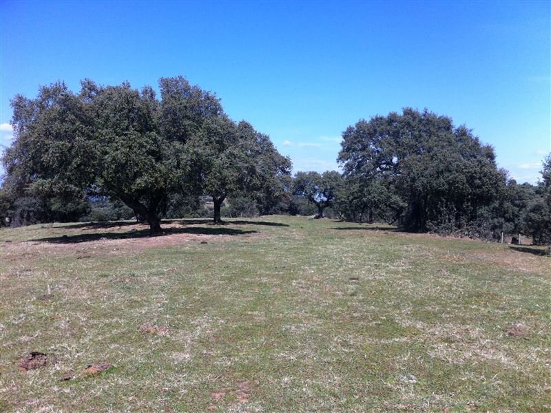 FINCA EN MILLANES