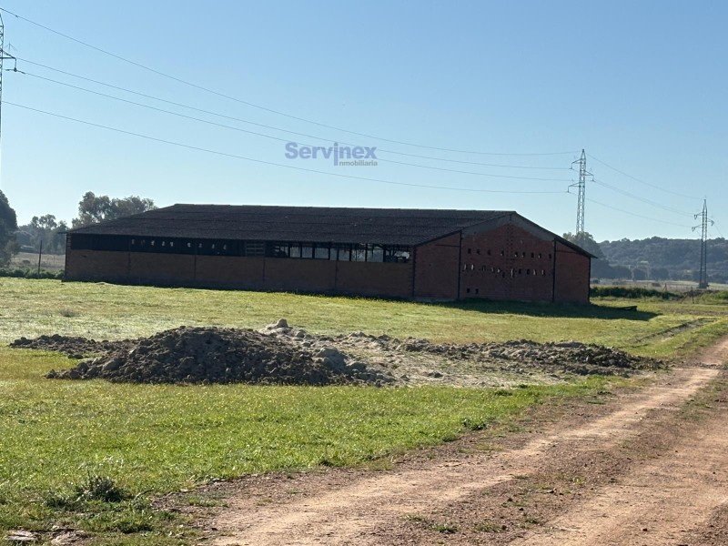 FINCA DE 8 HAS JUNTO AL POLIGONO “EXPACIO NAVALMORAL”