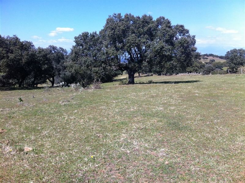 FINCA EN MILLANES