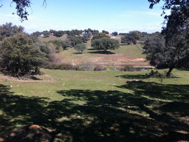 FINCA EN MILLANES