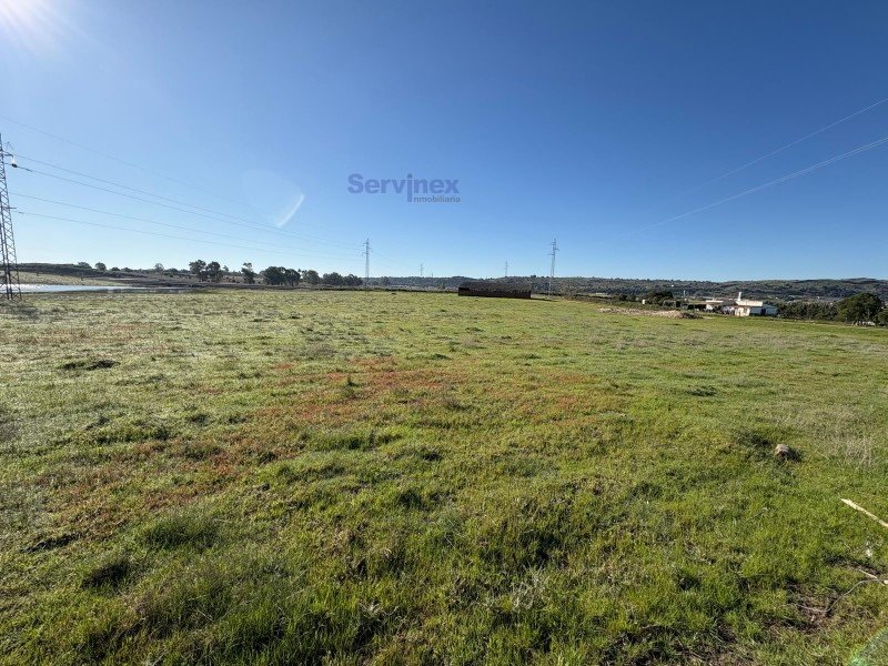 FINCA DE 8 HAS JUNTO AL POLIGONO “EXPACIO NAVALMORAL”