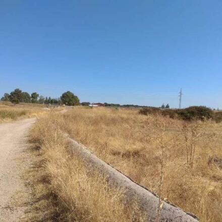 LOTE DE 2 PARCELAS JUNTAS A 1 KM DE NAVALMORAL DE LA MATA