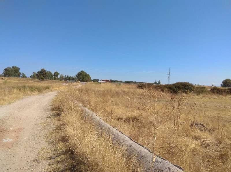 LOTE DE 2 PARCELAS JUNTAS A 1 KM DE NAVALMORAL DE LA MATA