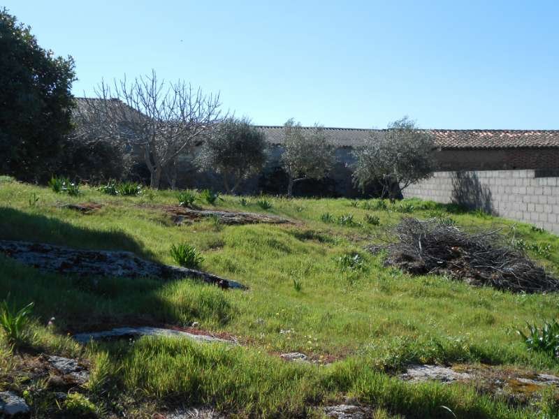 Solar en Belvis de Monroy