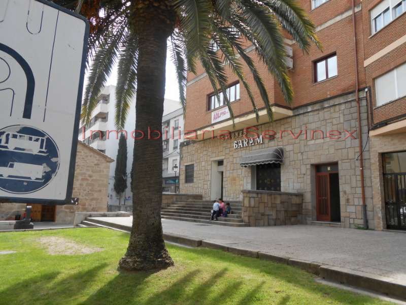LOCAL DE 500M2 APROX EN LA AVDA DE LAS ANGUSTIAS