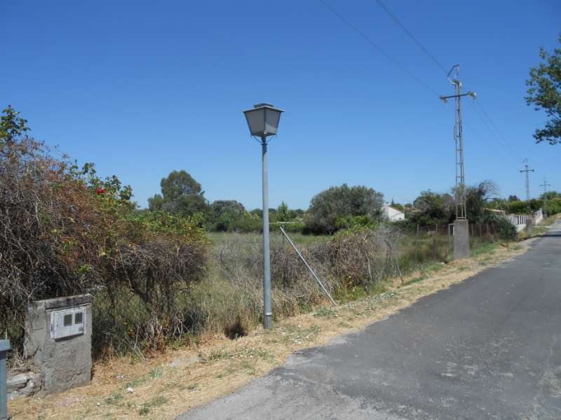 LOS PINOS LOS PINOS
