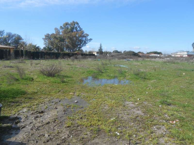 PARCELA EN LOS PINOS