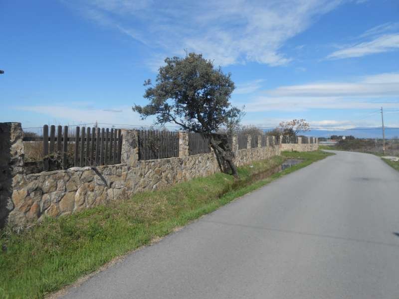 PARCELA EN LOS PINOS