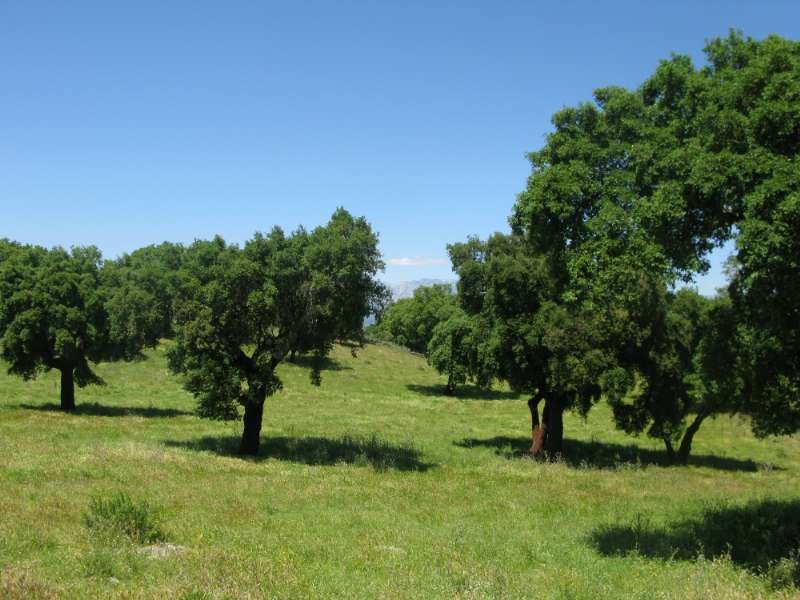 Finca Jaraiz de la vera Finca Jaraiz de la vera