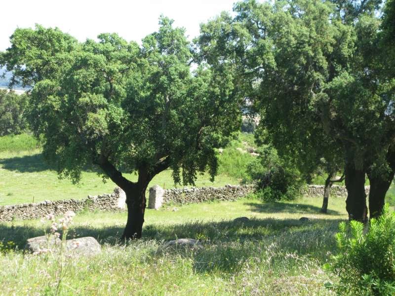 Finca Jaraiz de la vera