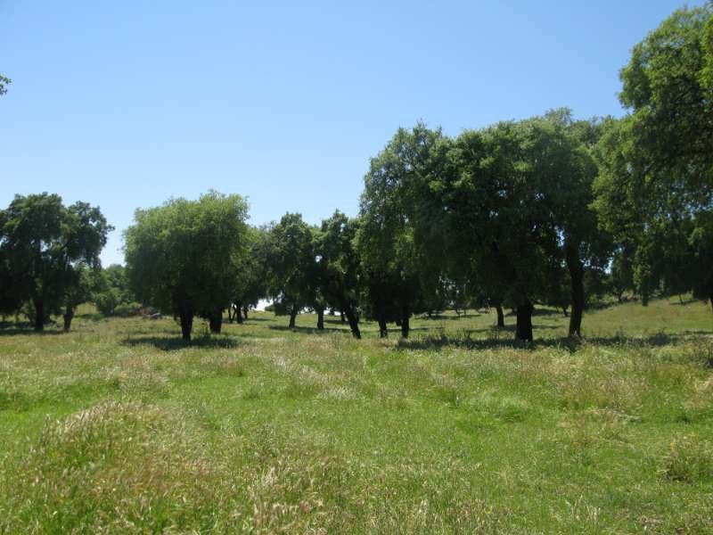 Finca Jaraiz de la vera