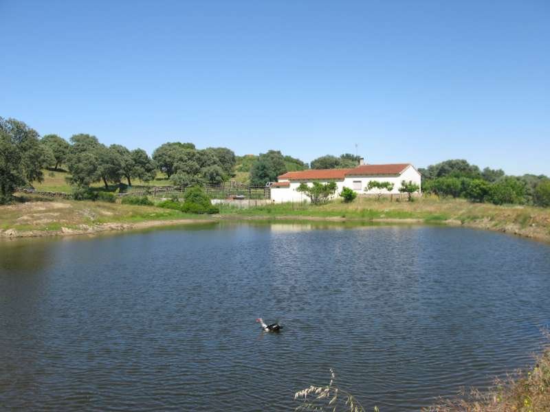 Finca Jaraiz de la vera