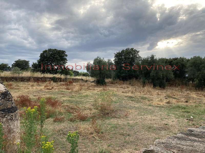 PARCELAS EN MUY BUENA ZONA